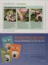 Better Homes & Gardens May 2009 Magazine Article: THIS MONTH IN THE GARDEN