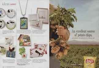 Better Homes & Gardens May 2009 Magazine Article: Page 32