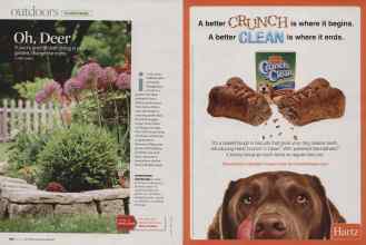 Better Homes & Gardens May 2009 Magazine Article: Page 108