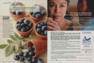 Better Homes & Gardens May 2009 Magazine Article: Page 114