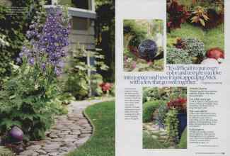 Better Homes & Gardens May 2009 Magazine Article: Page 158