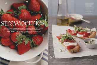 Better Homes & Gardens May 2009 Magazine Article: Page 160