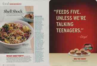 Better Homes & Gardens May 2009 Magazine Article: Page 182