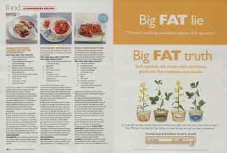 Better Homes & Gardens May 2009 Magazine Article: Page 196