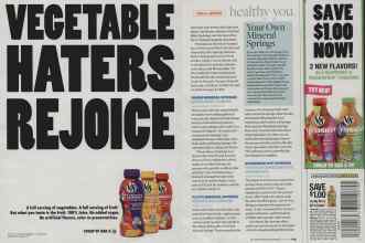 Better Homes & Gardens May 2009 Magazine Article: Page 218