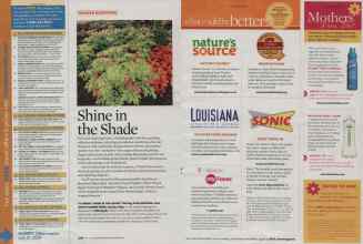 Better Homes & Gardens May 2009 Magazine Article: Page 226