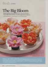 Better Homes & Gardens June 2009 Magazine Article: The Big Bloom