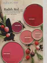 Better Homes & Gardens June 2009 Magazine Article: Radish Red