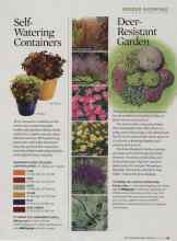 Better Homes & Gardens June 2009 Magazine Article: Deer-Resistant Garden