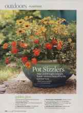 Better Homes & Gardens June 2009 Magazine Article: Pot Sizzlers