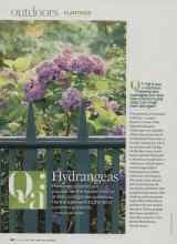 Better Homes & Gardens June 2009 Magazine Article: Qa: Hydrangeas