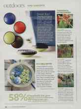 Better Homes & Gardens June 2009 Magazine Article: THIS MONTH IN THE GARDEN