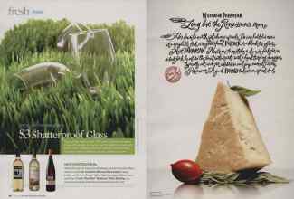 Better Homes & Gardens June 2009 Magazine Article: Page 26