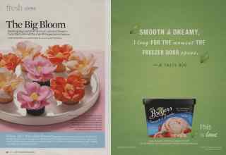 Better Homes & Gardens June 2009 Magazine Article: Page 32