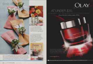 Better Homes & Gardens June 2009 Magazine Article: Page 34