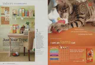 Better Homes & Gardens June 2009 Magazine Article: Page 52