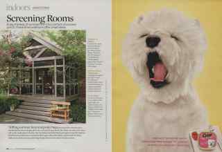 Better Homes & Gardens June 2009 Magazine Article: Page 60