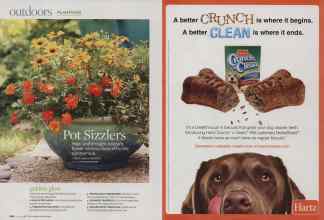 Better Homes & Gardens June 2009 Magazine Article: Page 106