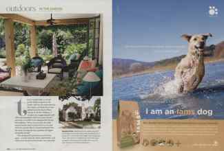 Better Homes & Gardens June 2009 Magazine Article: Page 114