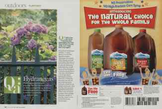 Better Homes & Gardens June 2009 Magazine Article: Page 118