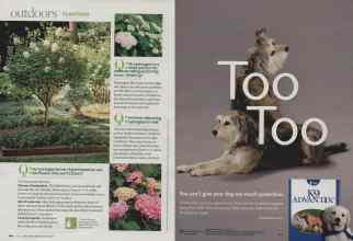 Better Homes & Gardens June 2009 Magazine Article: Page 120