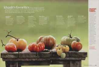 Better Homes & Gardens June 2009 Magazine Article: Page 162