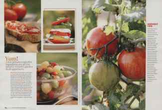 Better Homes & Gardens June 2009 Magazine Article: Page 164