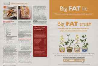 Better Homes & Gardens June 2009 Magazine Article: Page 210