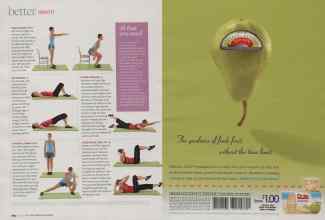 Better Homes & Gardens June 2009 Magazine Article: Page 234