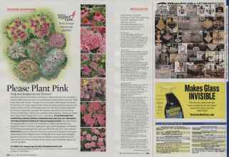 Better Homes & Gardens June 2009 Magazine Article: Page 252