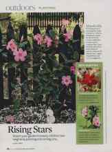 Better Homes & Gardens July 2009 Magazine Article: Rising Stars