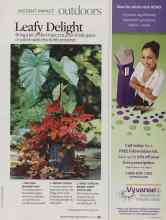 Better Homes & Gardens July 2009 Magazine Article: Leafy Delight