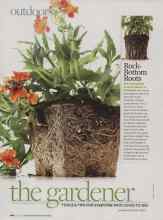 Better Homes & Gardens July 2009 Magazine Article: Rock-Bottom Roots