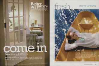 Better Homes & Gardens July 2009 Magazine Article: Page 20