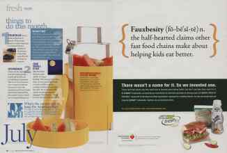 Better Homes & Gardens July 2009 Magazine Article: Page 22