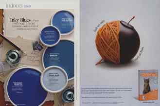 Better Homes & Gardens July 2009 Magazine Article: Page 48