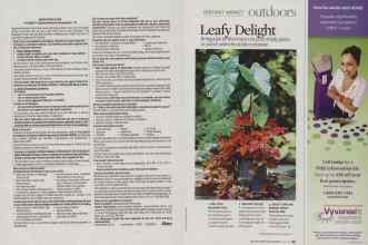 Better Homes & Gardens July 2009 Magazine Article: Page 94