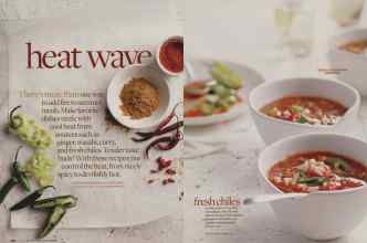 Better Homes & Gardens July 2009 Magazine Article: Page 142