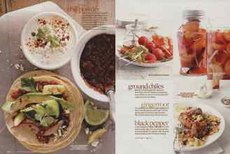 Better Homes & Gardens July 2009 Magazine Article: Page 144