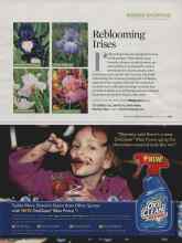 Better Homes & Gardens August 2009 Magazine Article: Reblooming Irises