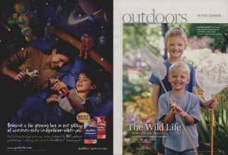 Better Homes & Gardens August 2009 Magazine Article: Page 90