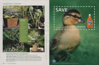 Better Homes & Gardens August 2009 Magazine Article: Page 100