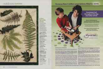 Better Homes & Gardens August 2009 Magazine Article: Page 102