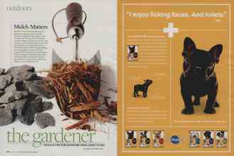 Better Homes & Gardens August 2009 Magazine Article: Page 118