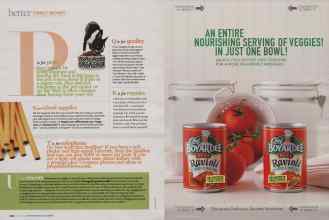 Better Homes & Gardens August 2009 Magazine Article: Page 232