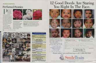 Better Homes & Gardens August 2009 Magazine Article: Page 240
