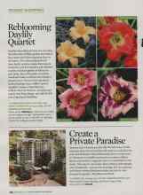 Better Homes & Gardens September 2009 Magazine Article: Reblooming Daylily Quartet