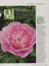 Better Homes & Gardens September 2009 Magazine Article: Qa: Peonies