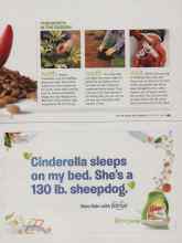 Better Homes & Gardens September 2009 Magazine Article: THIS MONTH IN THE GARDEN