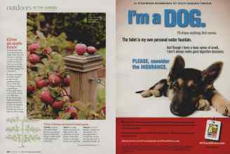 Better Homes & Gardens September 2009 Magazine Article: Page 126